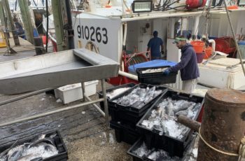 East Coast fishing crippled by coronavirus crisis, restaurant shutdowns The crew of the Arianna Maria unloads a catch at the Fishermen's Dock Cooperative in Point Pleasant Beach, N.J. A collapse in restaurant supply demand as a result of coronavirus has caused many boats to tie up. Fulfill photo.
