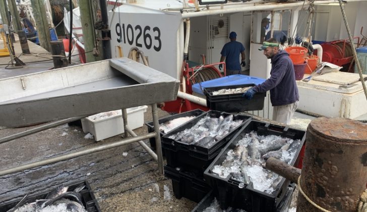 The crew of the Arianna Maria unloads a catch at the Fishermen's Dock Cooperative in Point Pleasant Beach, N.J. A collapse in restaurant supply demand as a result of coronavirus has caused many boats to tie up.